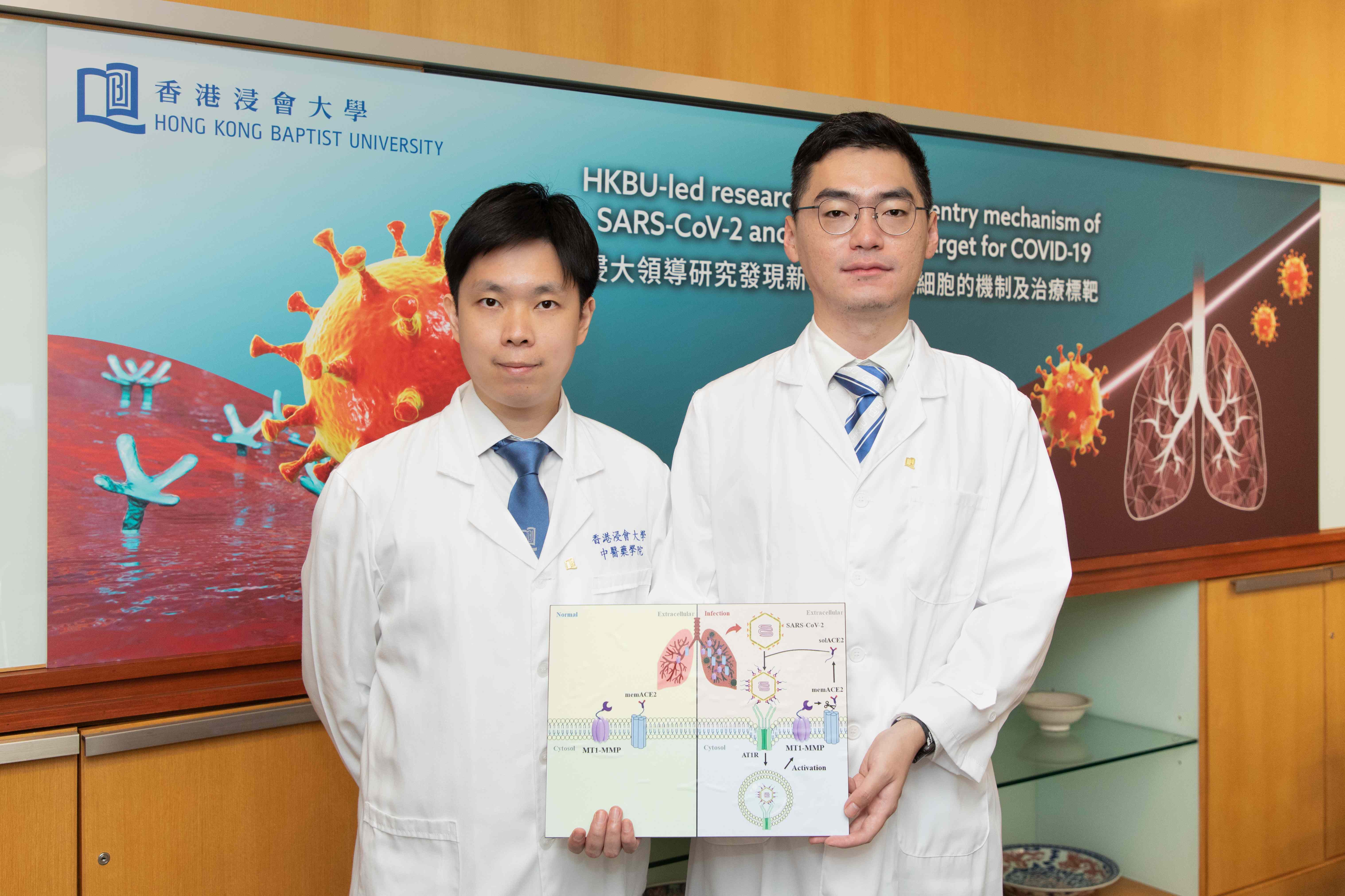 Dr Xavier Wong Hoi-leong, Assistant Professor, and Dr Guo Xuanming, researcher of the Teaching and Research Division of the School of Chinese Medicine, introduce the research findings on the cell entry mechanism of SARS-CoV-2 and therapeutic target for COVID-19.